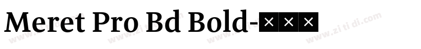 Meret Pro Bd Bold字体转换